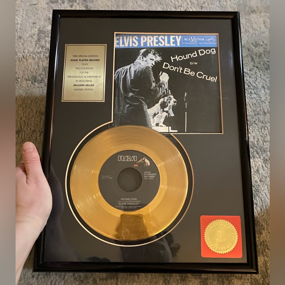 Gold Record Wall Decor with Black Frame